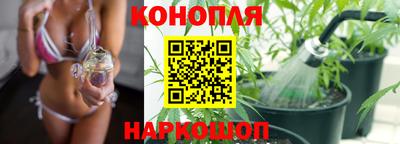 apvp Ливны