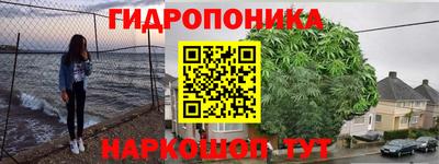 PSILOCYBIN Лесосибирск