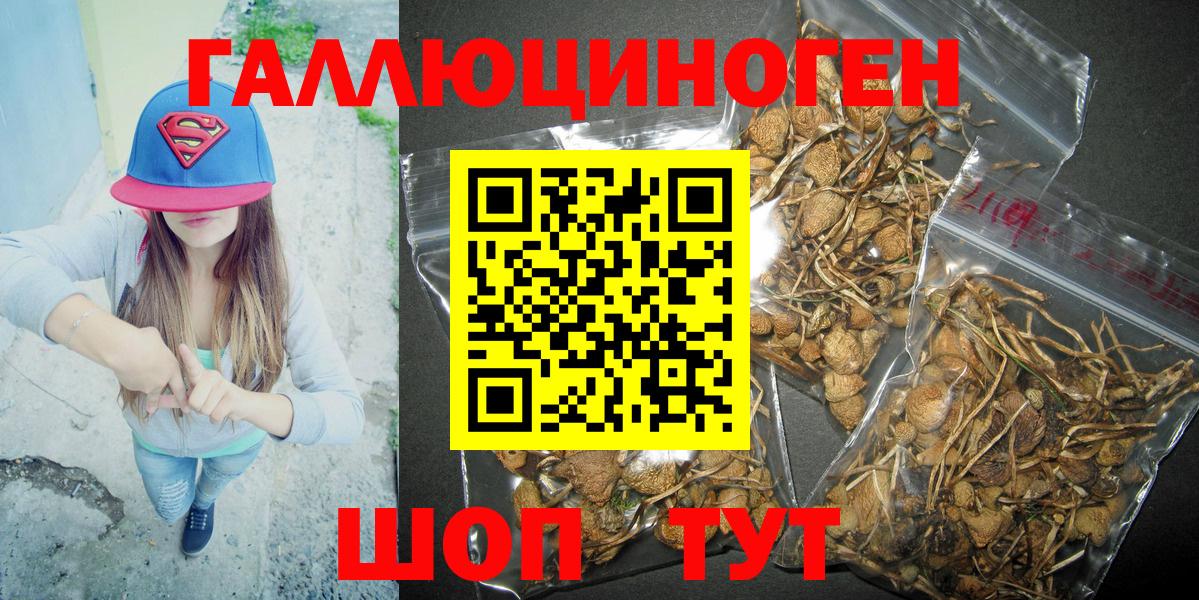 Псилоцибиновые грибы Magic Shrooms Еманжелинск